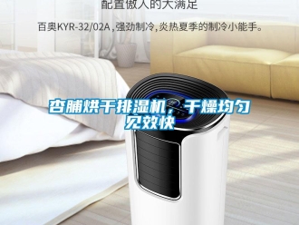 知識百科杏脯烘干排濕機(jī)，干燥均勻見效快