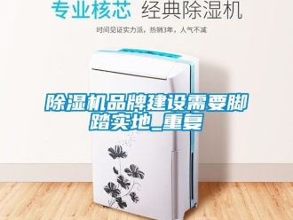 企業新聞除濕機品牌建設需要腳踏實地_重復