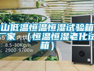 知識(shí)百科中山低溫恒溫恒濕試驗(yàn)箱生產(chǎn)廠家 （恒溫恒濕老化試驗(yàn)箱）