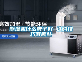 行業新聞除濕機什么牌子好 選購技巧有哪些