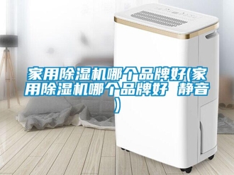 企業(yè)新聞家用除濕機哪個品牌好(家用除濕機哪個品牌好 靜音)