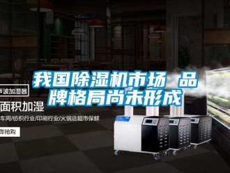 知識百科我國除濕機市場 品牌格局尚未形成