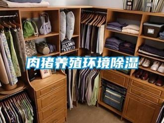 行業新聞肉豬養殖環境除濕