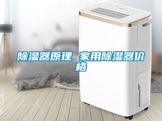 行業新聞除濕器原理 家用除濕器價格