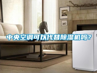 行業新聞中央空調可以代替除濕機嗎？