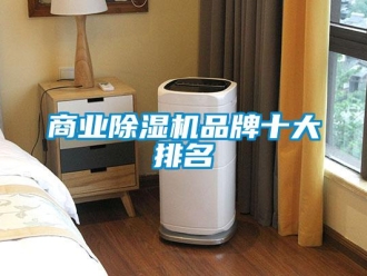 企業新聞商業除濕機品牌十大排名