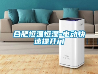 知識百科合肥恒溫恒濕-電動快速提升門