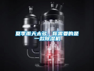 行業新聞夏季雨天太多，你需要的是一款除濕機