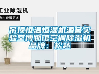 企業(yè)新聞吊頂恒溫恒濕機(jī)酒窖實(shí)驗(yàn)室博物館空調(diào)除濕機(jī)品牌：松越