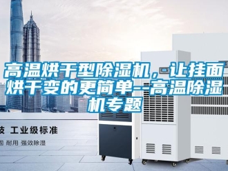 企業新聞高溫烘干型除濕機，讓掛面烘干變的更簡單--高溫除濕機專題