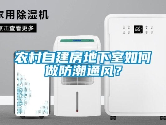 企業(yè)新聞農村自建房地下室如何做防潮通風？