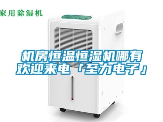 知識(shí)百科機(jī)房恒溫恒濕機(jī)哪有歡迎來電「至力電子」