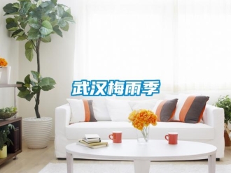 知識百科武漢梅雨季