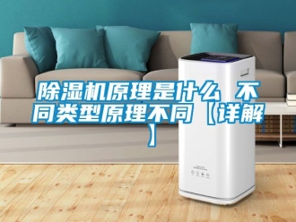 行業(yè)新聞除濕機(jī)原理是什么 不同類型原理不同【詳解】