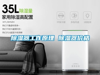 行業新聞除濕器工作原理 除濕器價格