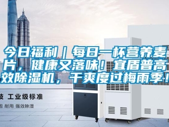 行業新聞今日福利｜每日一杯營養麥片，健康又落味！宜盾普高效除濕機，干爽度過梅雨季！