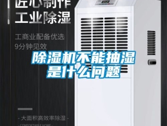 企業新聞除濕機不能抽濕是什么問題