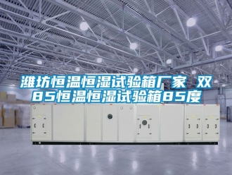 知識百科濰坊恒溫恒濕試驗箱廠家 雙85恒溫恒濕試驗箱85度