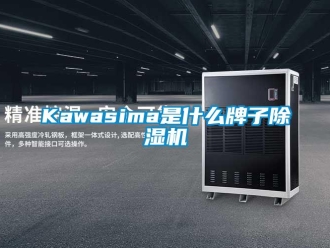 企業(yè)新聞Kawasima是什么牌子除濕機