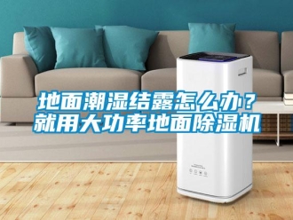 行業新聞地面潮濕結露怎么辦？就用大功率地面除濕機