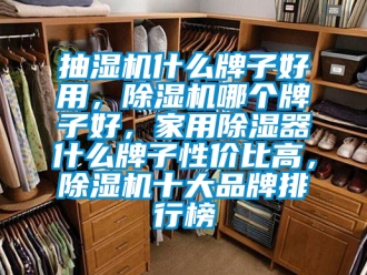 企業新聞抽濕機什么牌子好用，除濕機哪個牌子好，家用除濕器什么牌子性價比高，除濕機十大品牌排行榜