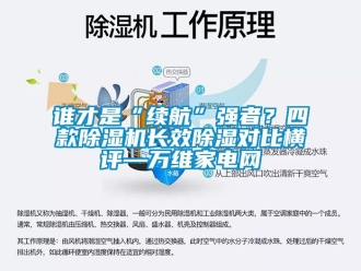 行業新聞誰才是“續航”強者？四款除濕機長效除濕對比橫評—萬維家電網