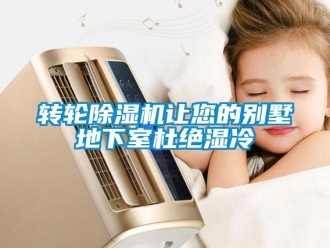 知識百科轉(zhuǎn)輪除濕機讓您的別墅地下室杜絕濕冷