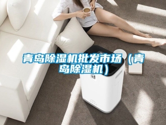 行業(yè)新聞青島除濕機(jī)批發(fā)市場（青島除濕機(jī)）