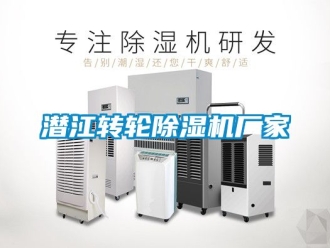 企業(yè)新聞潛江轉(zhuǎn)輪除濕機廠家