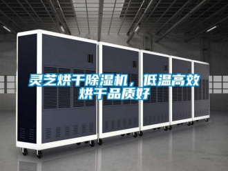 行業新聞靈芝烘干除濕機，低溫高效烘干品質好