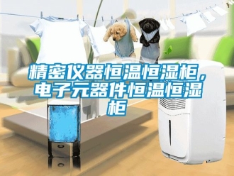 知識百科精密儀器恒溫恒濕柜，電子元器件恒溫恒濕柜