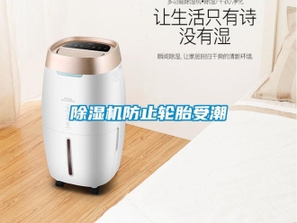 企業(yè)新聞除濕機(jī)防止輪胎受潮