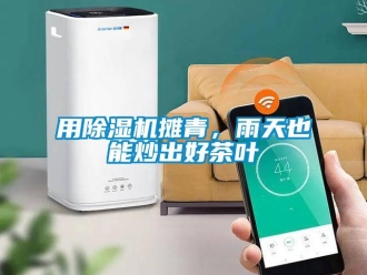 知識百科用除濕機攤青，雨天也能炒出好茶葉